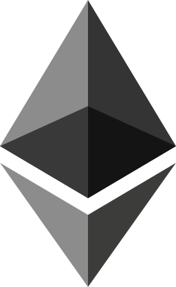 EVM Chains Logo